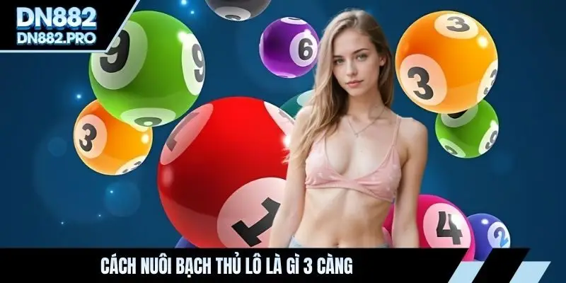 Bạch Thủ Lô Là Gì - Phương Pháp Giúp Bạn Tối Ưu Cơ Hội