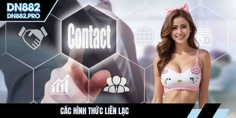 Liên Hệ DN88 - Hướng Dẫn Kết Nối Bộ Phận Hỗ Trợ Nhanh