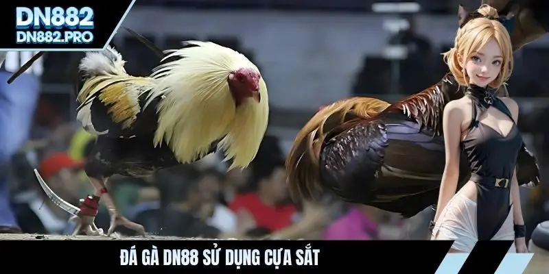 Đá Gà DN88 - Sân Chơi Cá Cược Chiến Kê Số Một Việt Nam