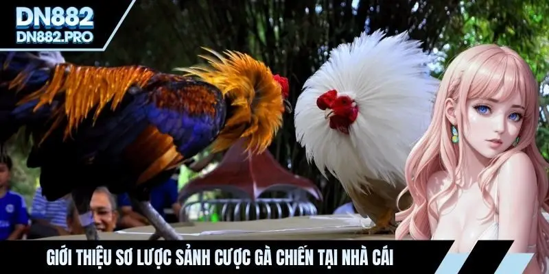 Đá Gà DN88 - Sân Chơi Cá Cược Chiến Kê Số Một Việt Nam